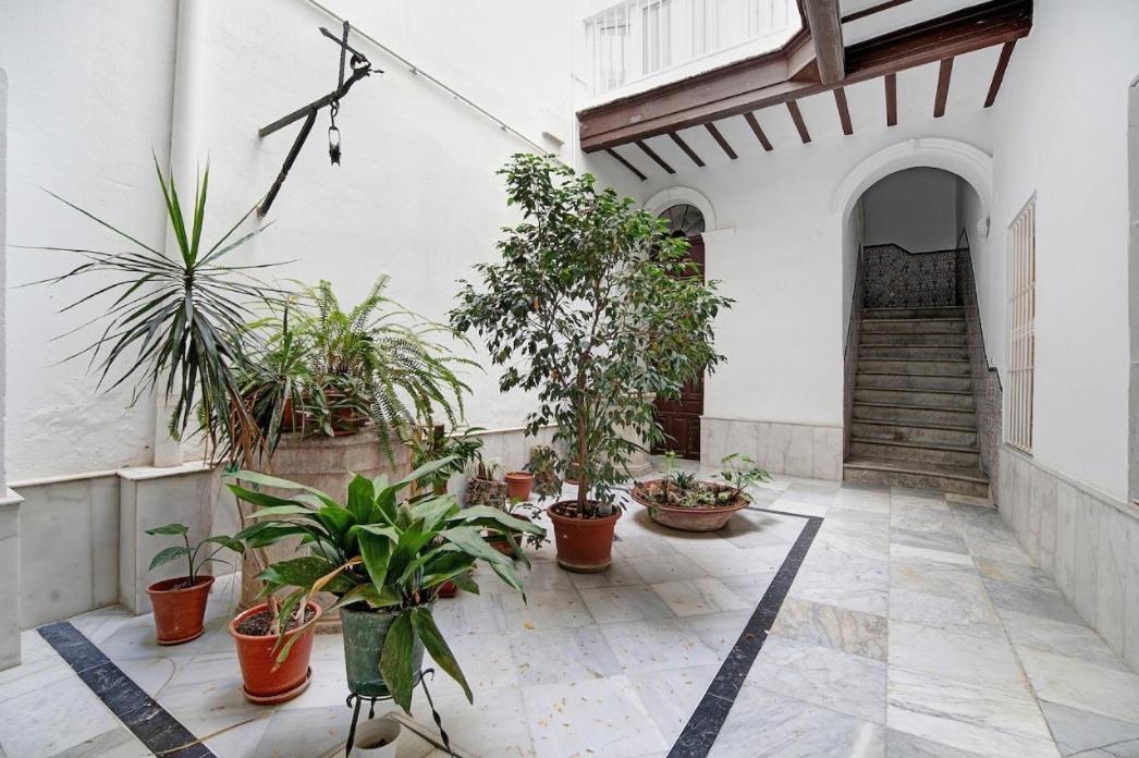 Precioso Alojamiento En Cadiz Junto Al Mercado Exterior photo